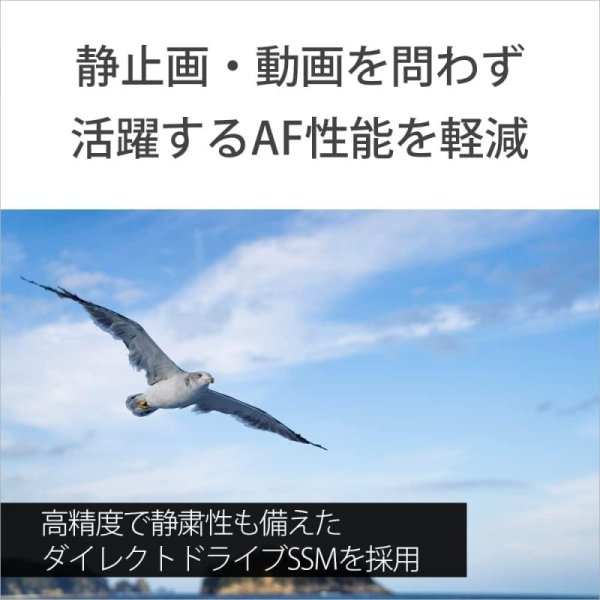 E 24-70mm F2.8 GM G Master SEL2470GM 九州・福岡レンタル