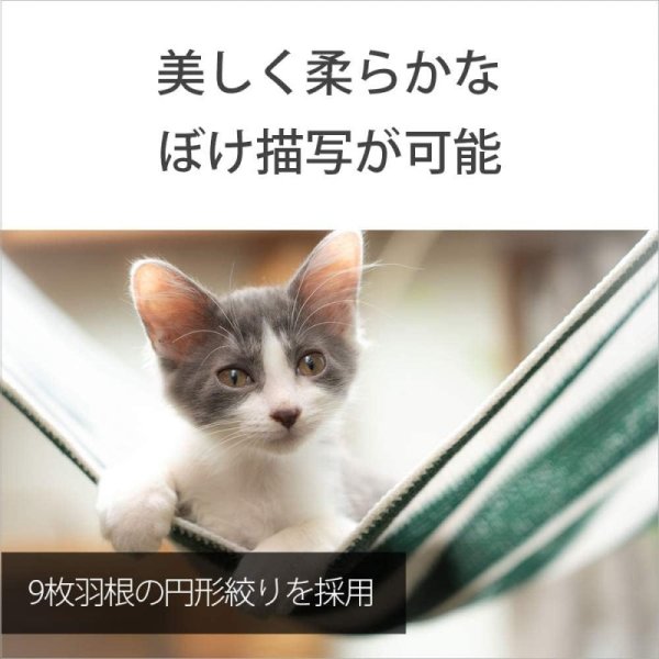SONY(ソニー) 標準ズームレンズ フルサイズ FE 24-105mm F4 G OSS Gレンズ 九州・福岡レンタル