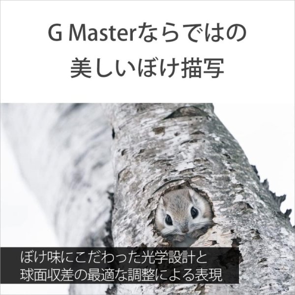 SONY(ソニー) 望遠ズームレンズ フルサイズ FE 100-400mm F4.5-5.6 GM OSS G Master SEL100400GM九州・福岡レンタル